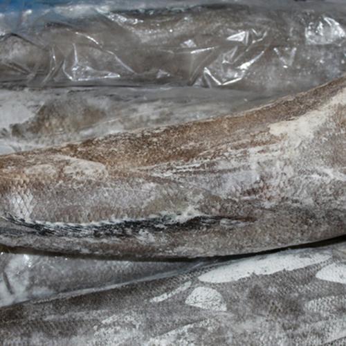 经销批发 进口法国整条银鳕鱼冷冻水产品批发 量大从优