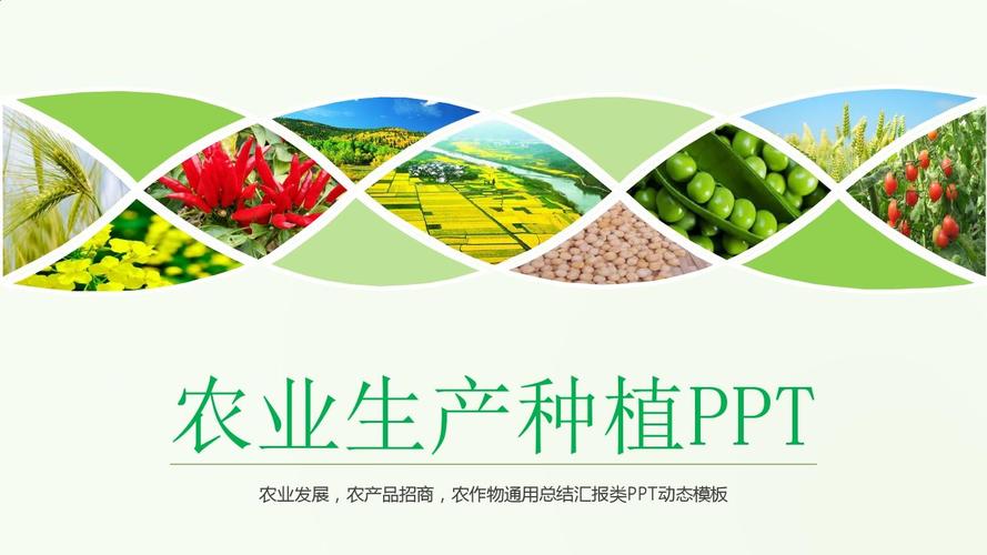 农业生态农产品招商总结汇报简约清新通用动态ppt模板素材方案